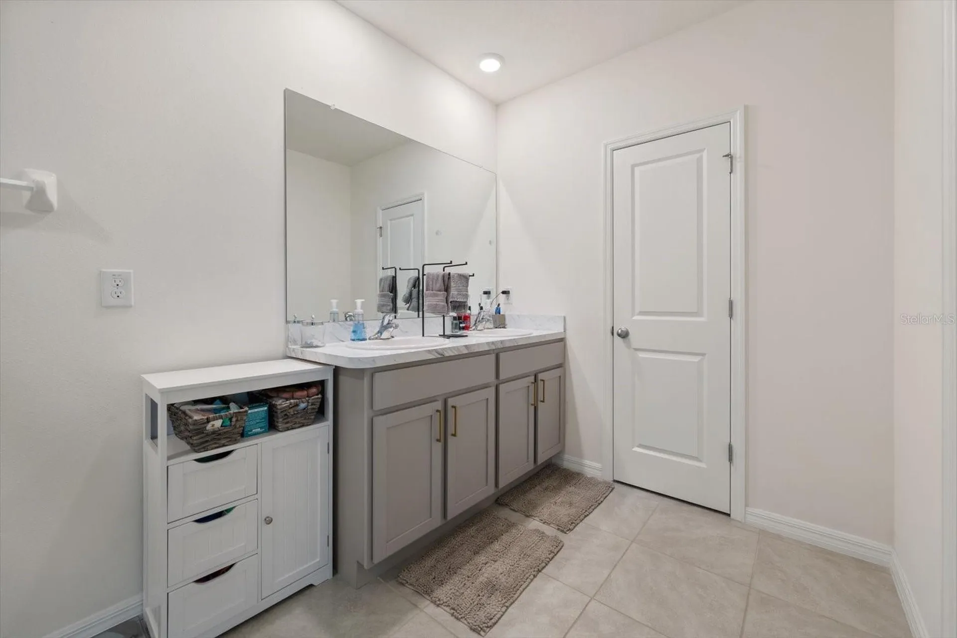 16176 Soft Fern Trace Odessa FL 33556