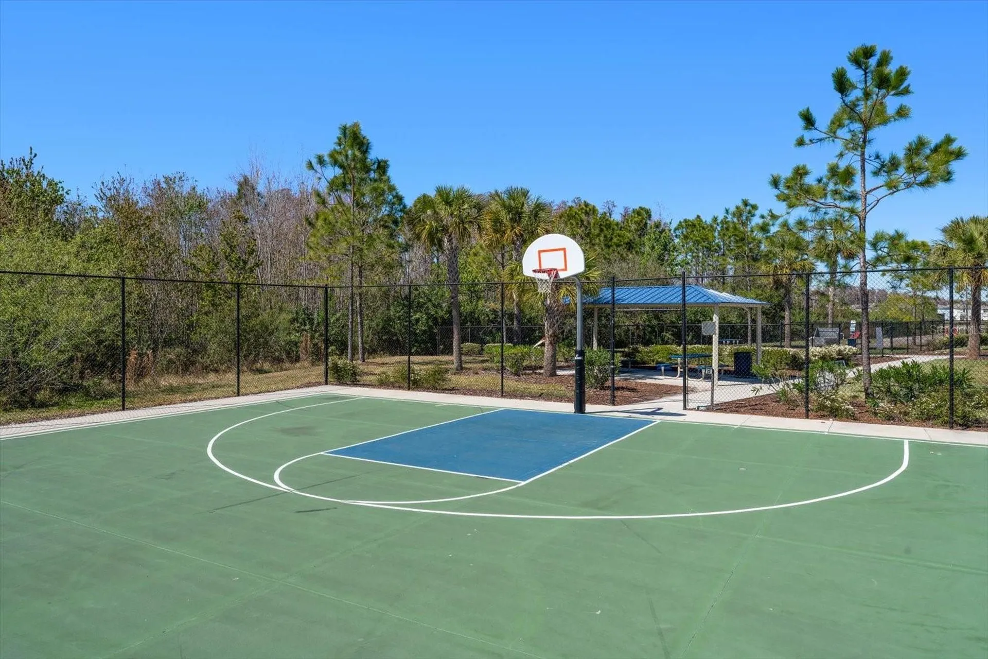 16176 Soft Fern Trace Odessa FL 33556
