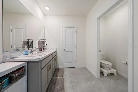 16176 Soft Fern Trace Odessa FL 33556