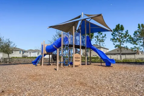 16176 Soft Fern Trace Odessa FL 33556