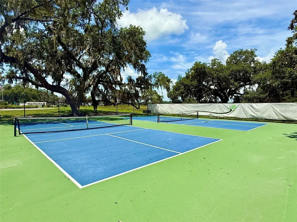 3607 Umbrella Tree Lane Oxford FL 34484