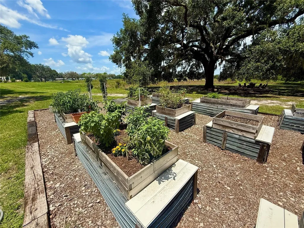 3607 Umbrella Tree Lane Oxford FL 34484
