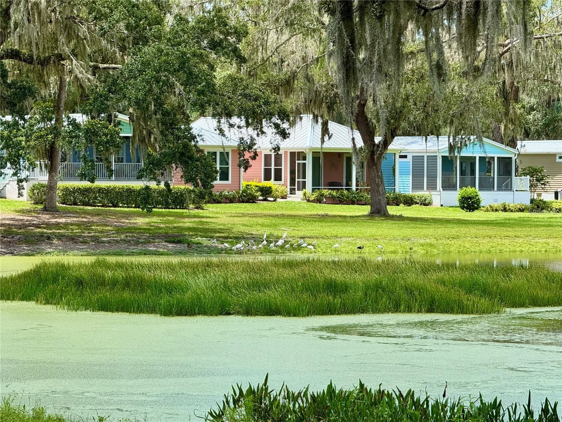 3607 Umbrella Tree Lane Oxford FL 34484