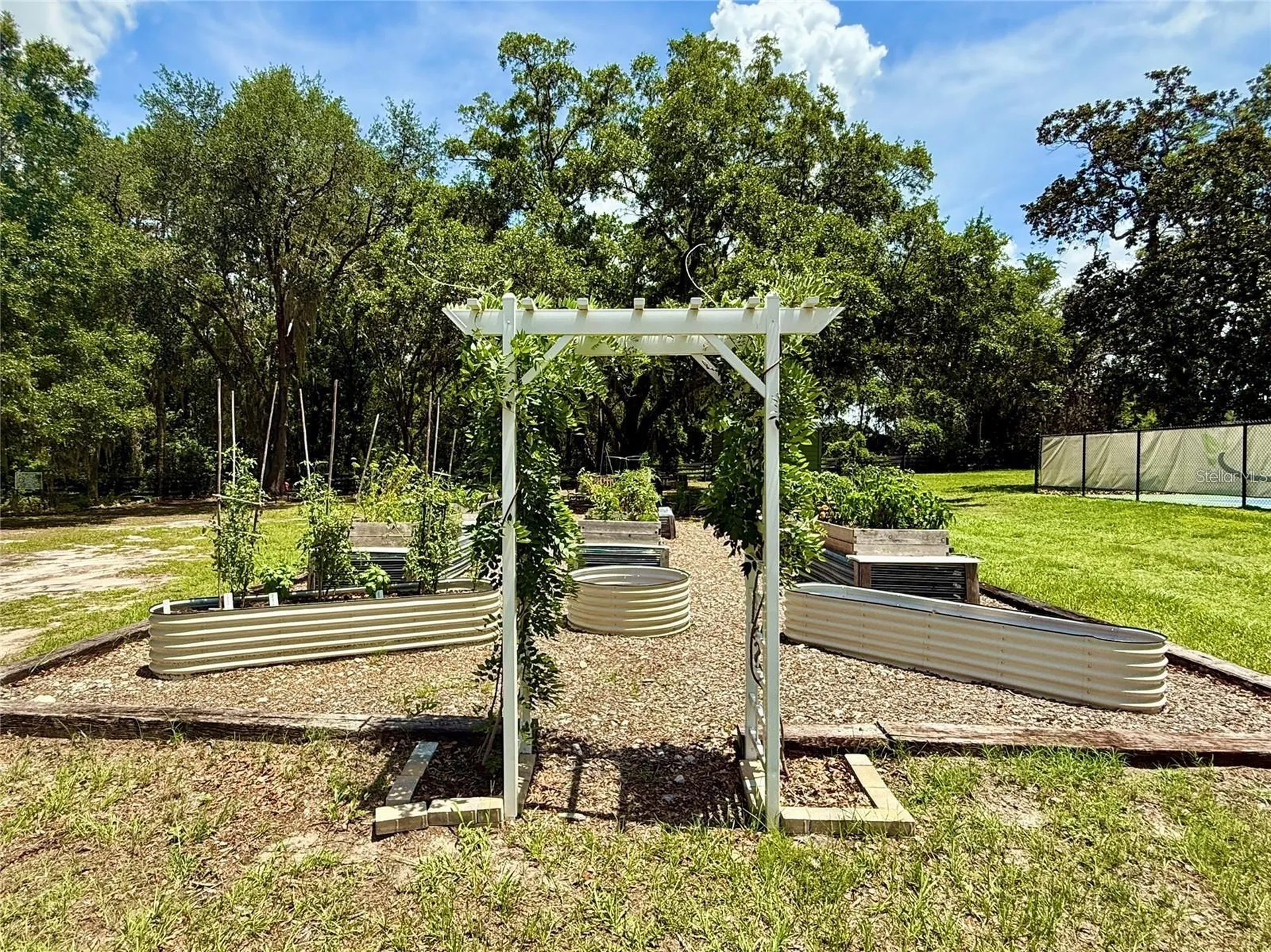 3607 Umbrella Tree Lane Oxford FL 34484
