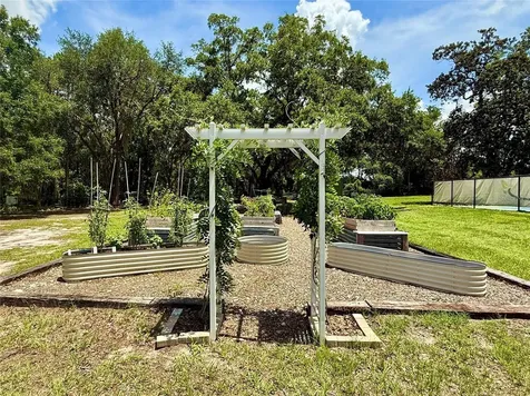 3607 Umbrella Tree Lane Oxford FL 34484
