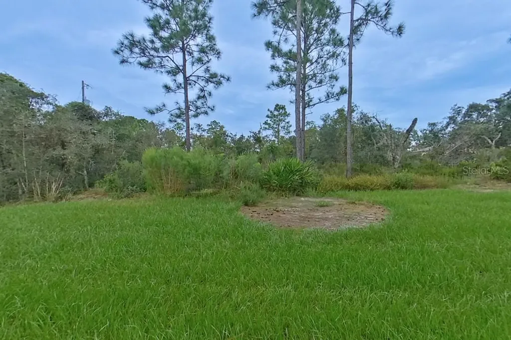 2955 W Pintado Drive Citrus Springs FL 34433