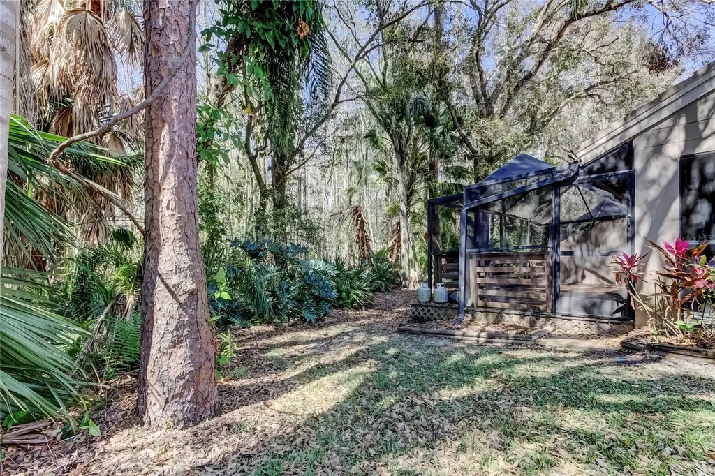 3020 Windmoor Drive Palm Harbor FL 34685