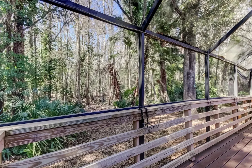 3020 Windmoor Drive Palm Harbor FL 34685