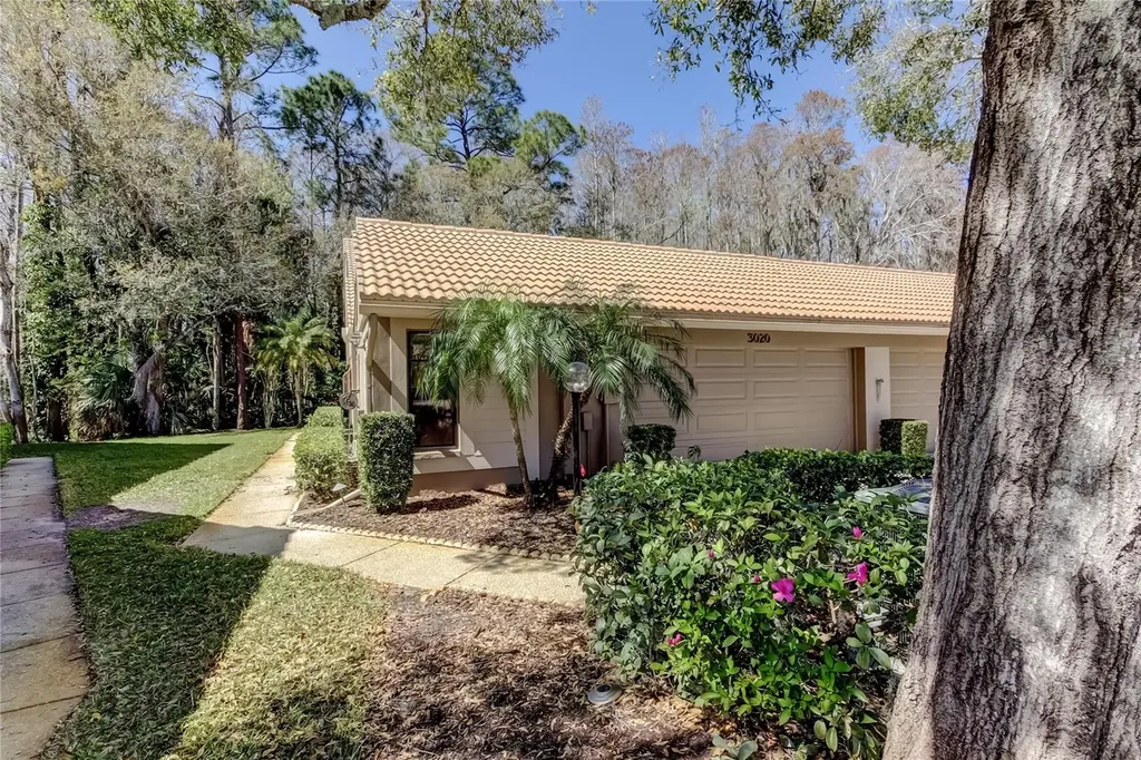 3020 Windmoor Drive Palm Harbor FL 34685