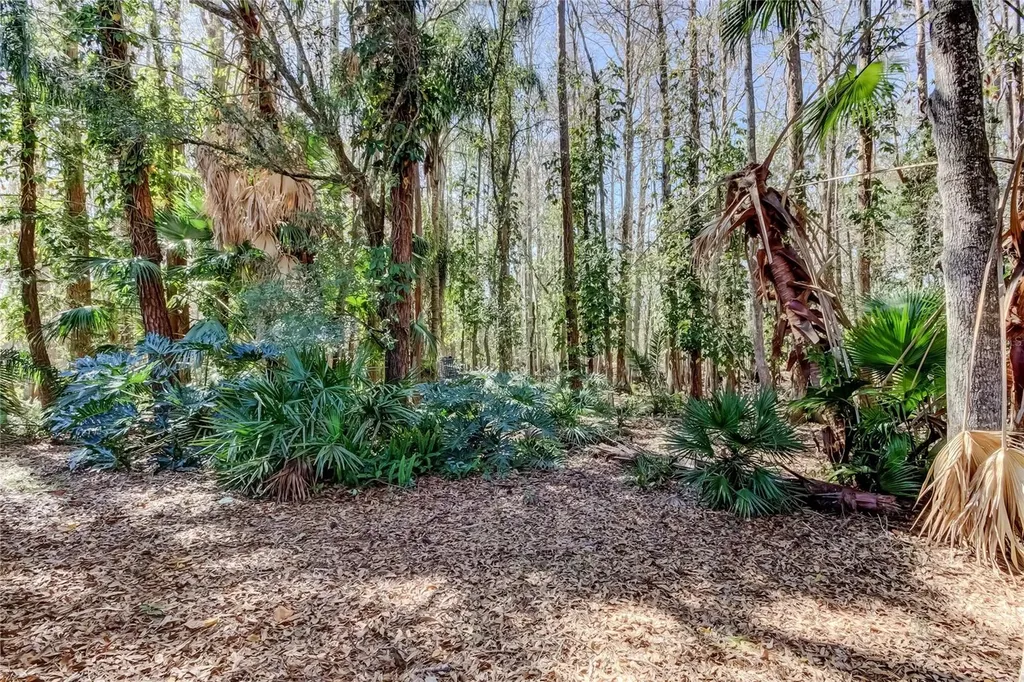 3020 Windmoor Drive Palm Harbor FL 34685