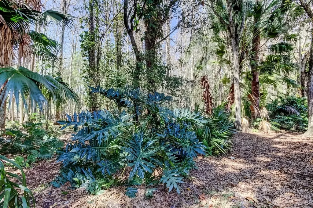 3020 Windmoor Drive Palm Harbor FL 34685