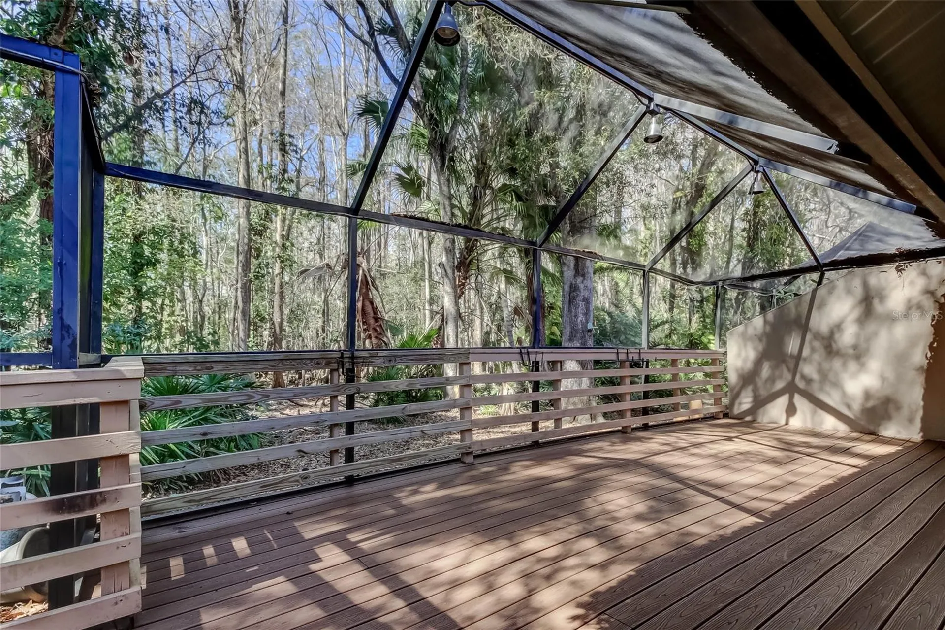 3020 Windmoor Drive Palm Harbor FL 34685