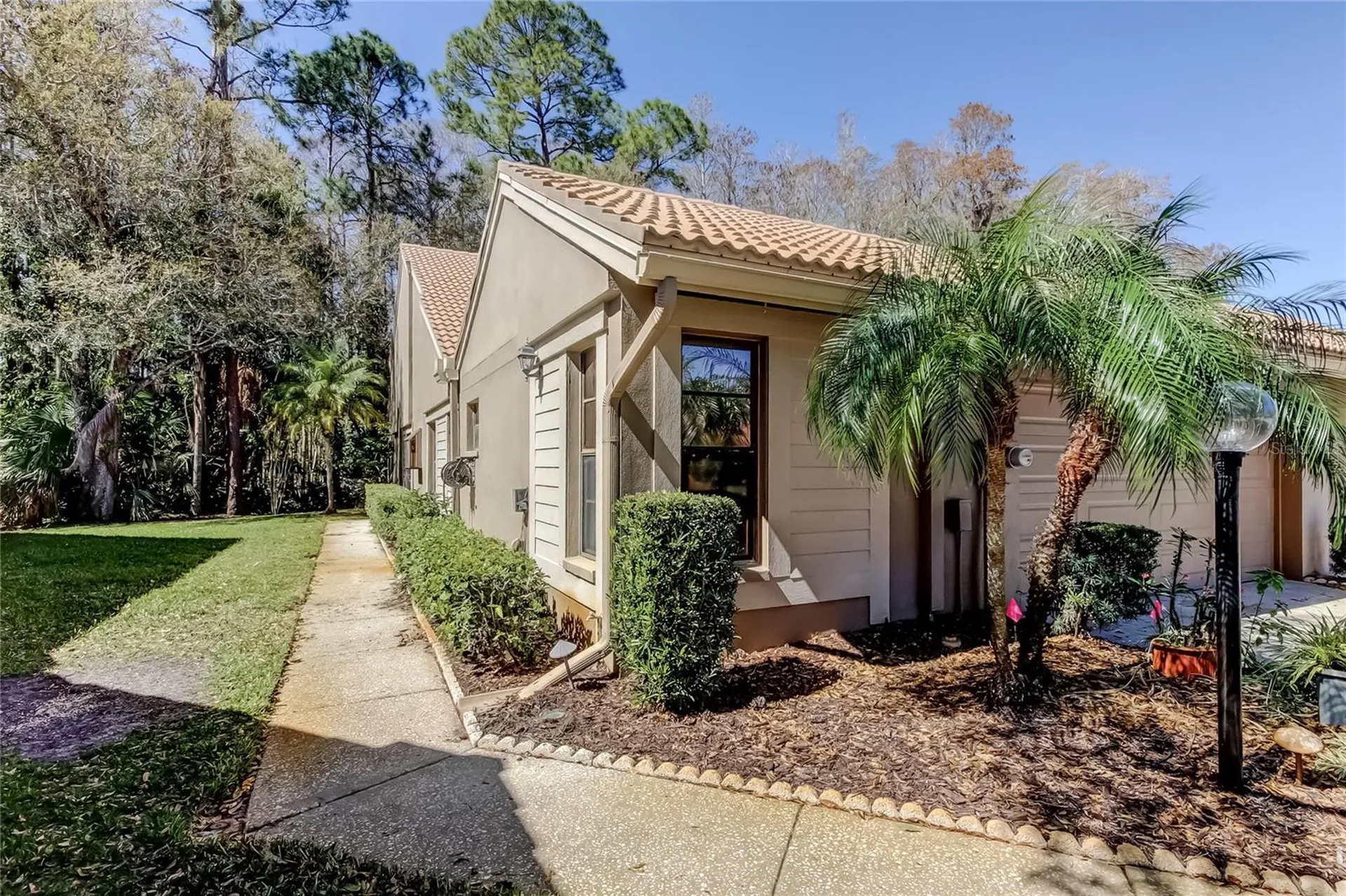 3020 Windmoor Drive Palm Harbor FL 34685