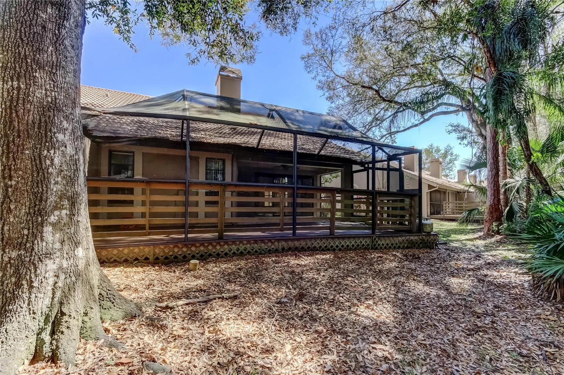 3020 Windmoor Drive Palm Harbor FL 34685