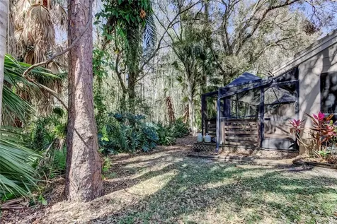 3020 Windmoor Drive Palm Harbor FL 34685