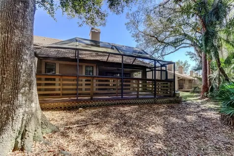 3020 Windmoor Drive Palm Harbor FL 34685