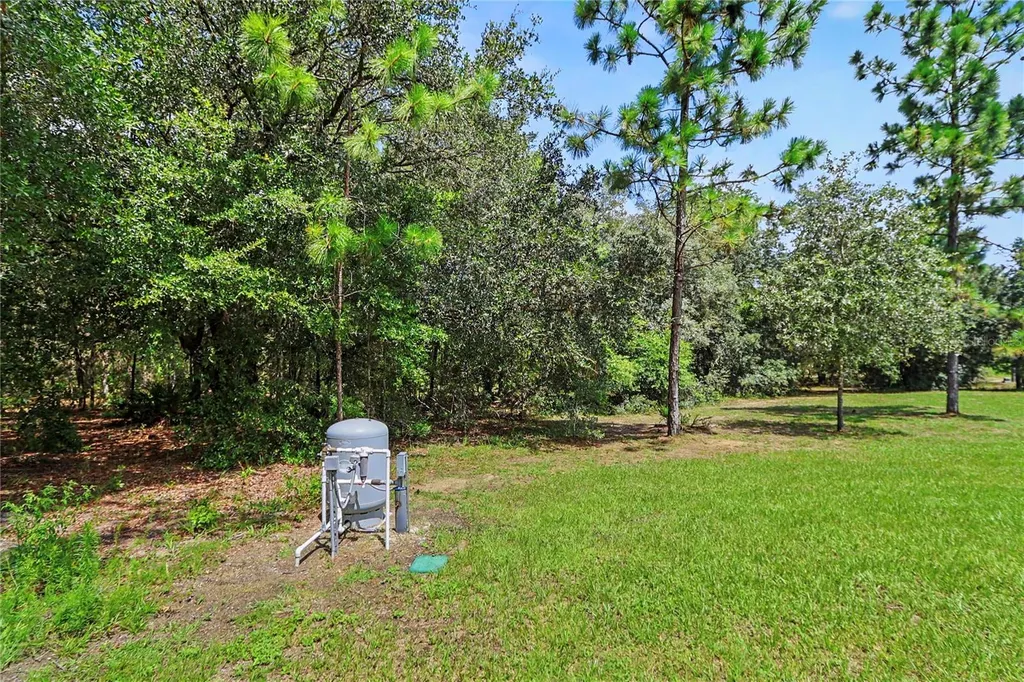 18471 SW 66 Loop Dunnellon FL 34432