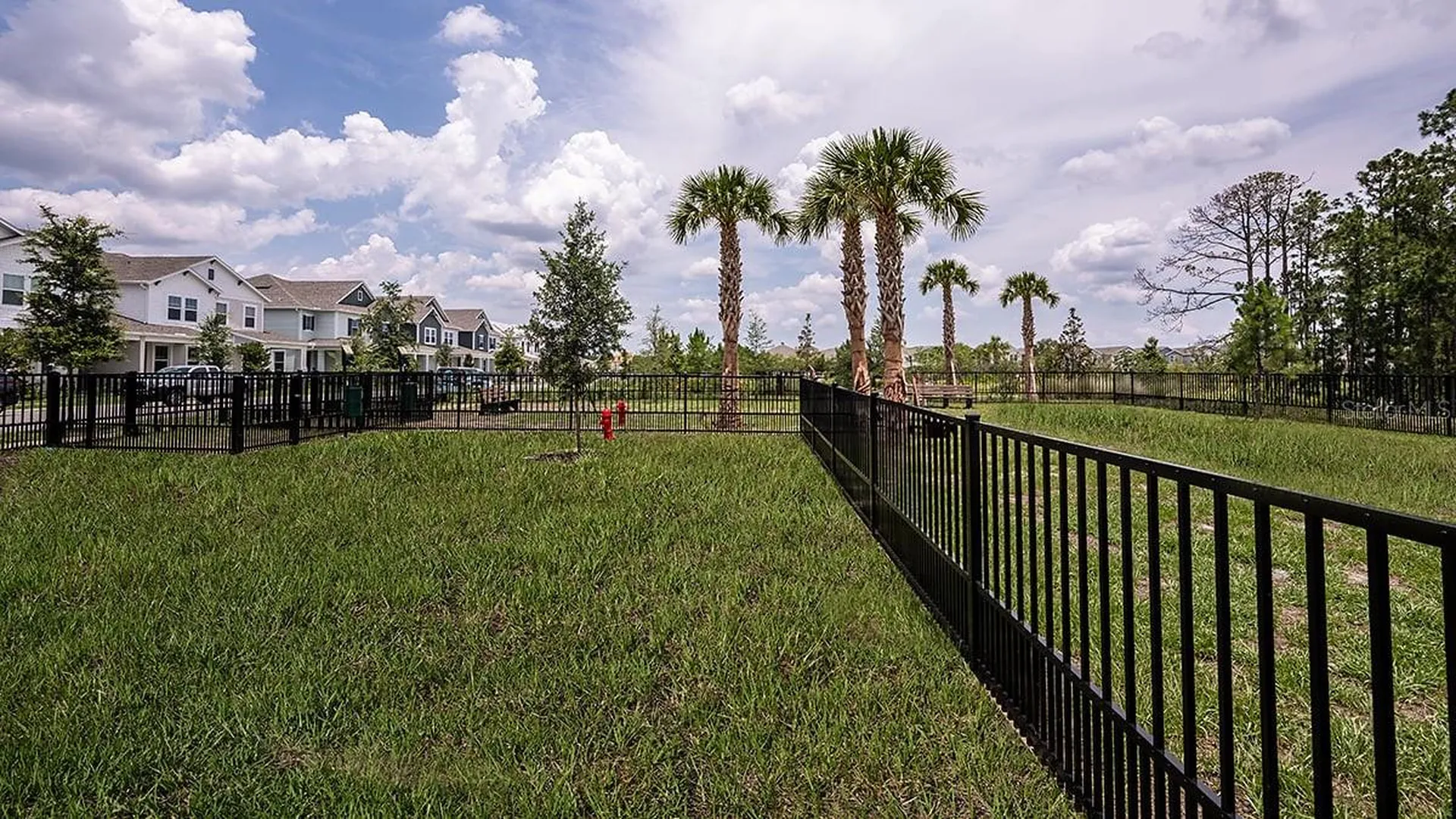 12971 Harvest Rain Avenue Winter Garden FL 34787