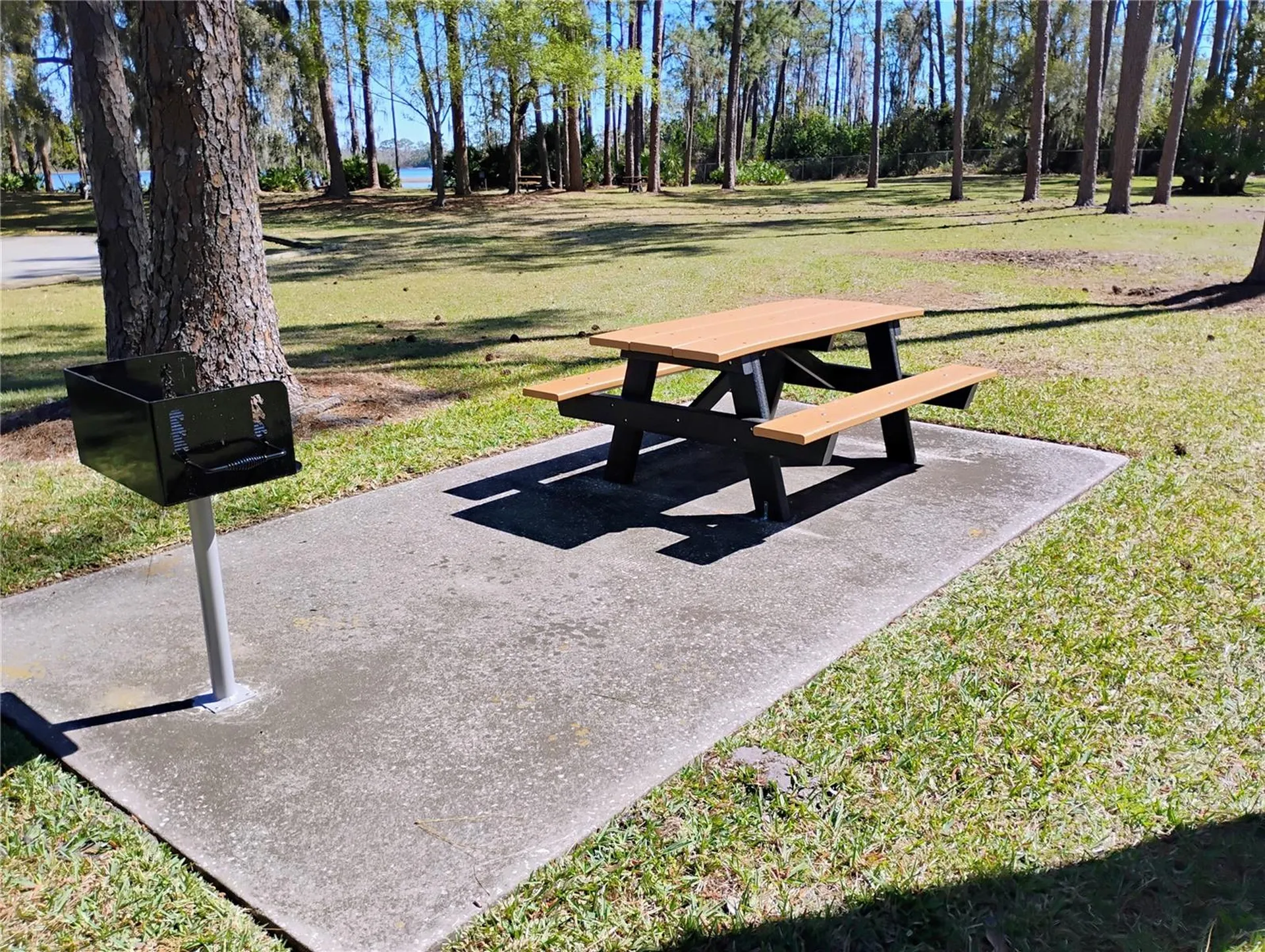 241 Lake Trout Davenport FL 33897