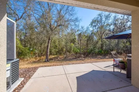 15855 Fishhawk View Drive Lithia FL 33547