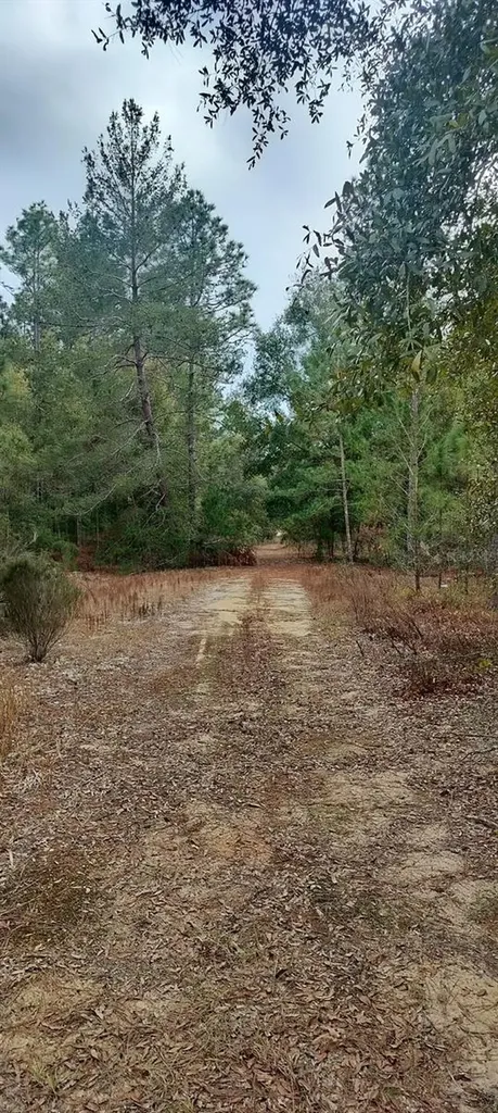 326 Elm Trail Interlachen FL 32148