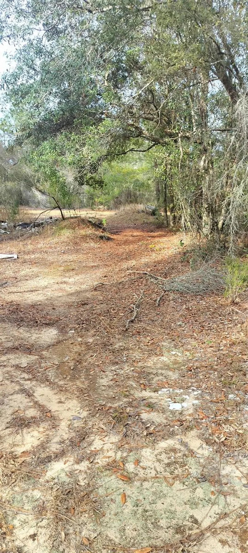 326 Elm Trail Interlachen FL 32148