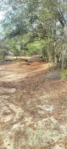 326 Elm Trail Interlachen FL 32148