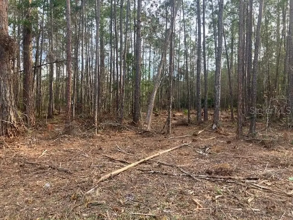 4515 Mahogany Boulevard Bunnell FL 32110