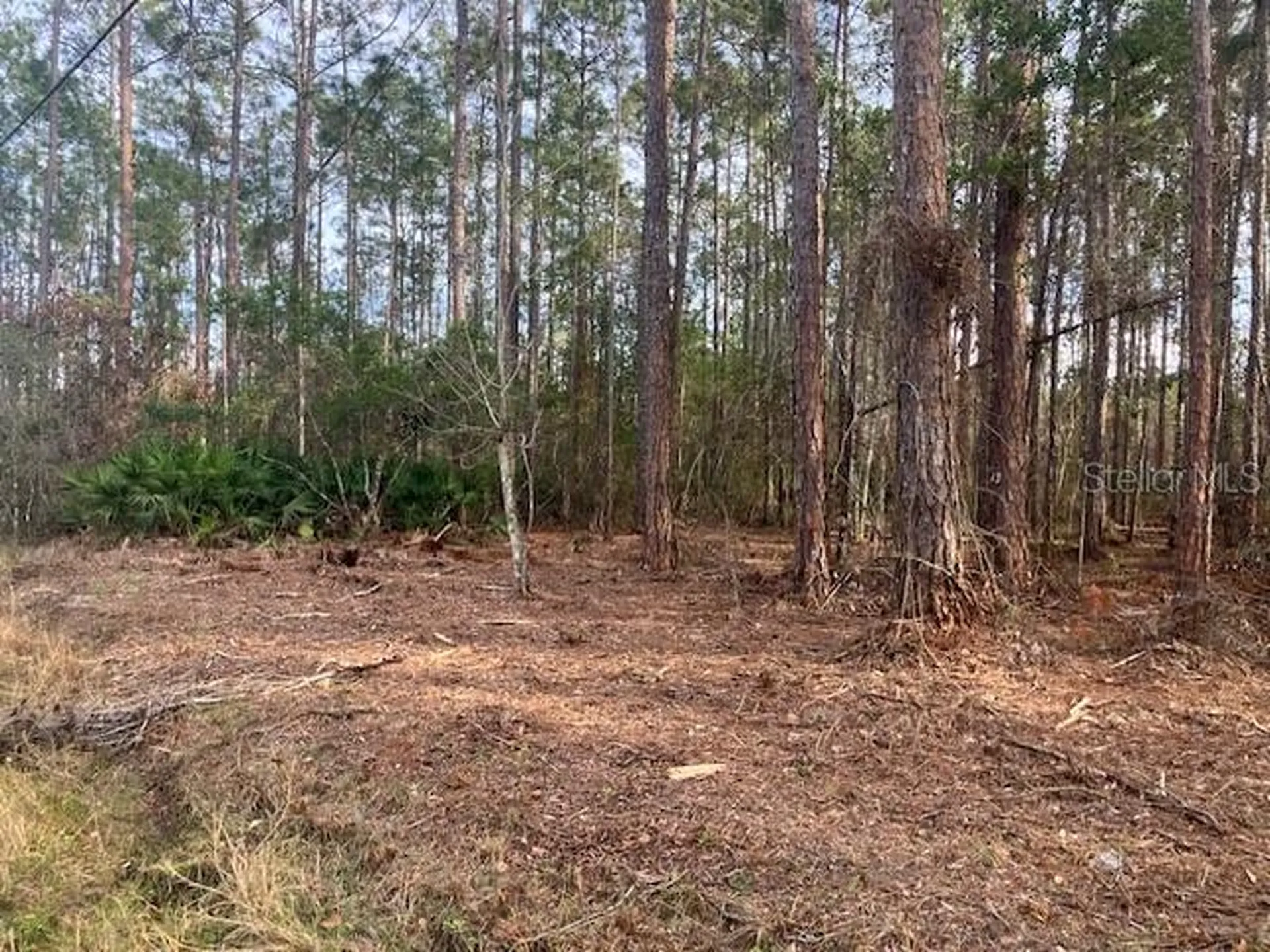 4515 Mahogany Boulevard Bunnell FL 32110