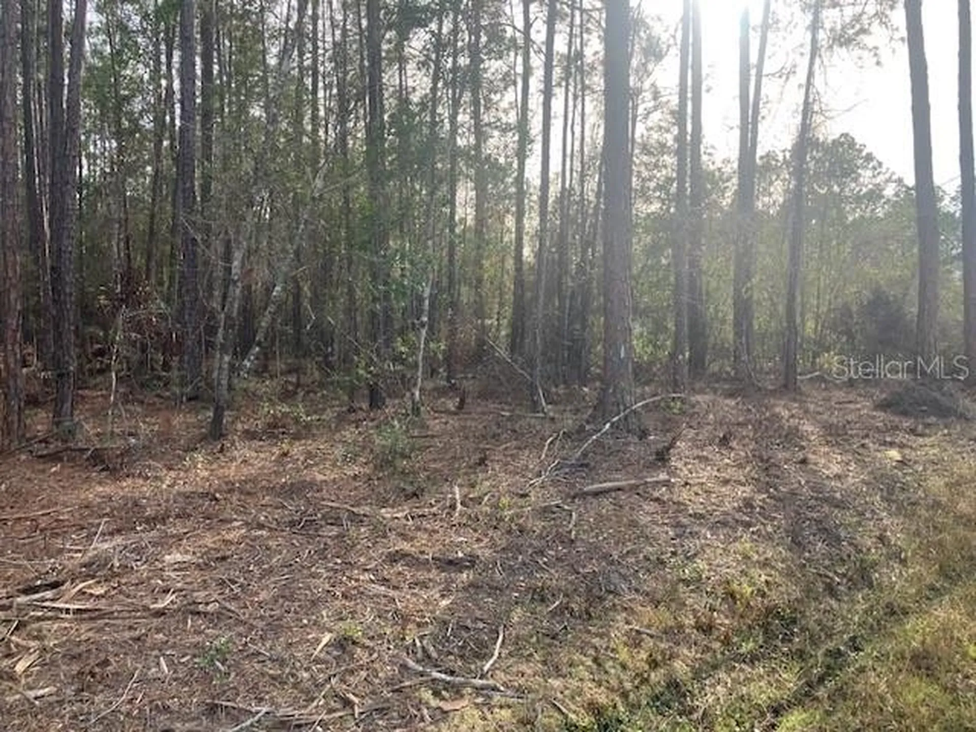 4515 Mahogany Boulevard Bunnell FL 32110