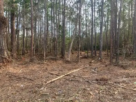 4515 Mahogany Boulevard Bunnell FL 32110