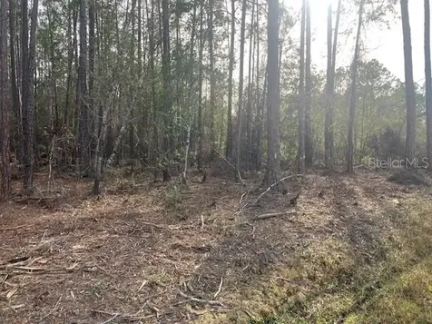 4515 Mahogany Boulevard Bunnell FL 32110