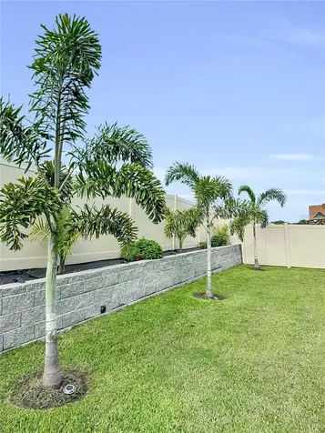 32289 Conchshell Sail Street Wesley Chapel FL 33545