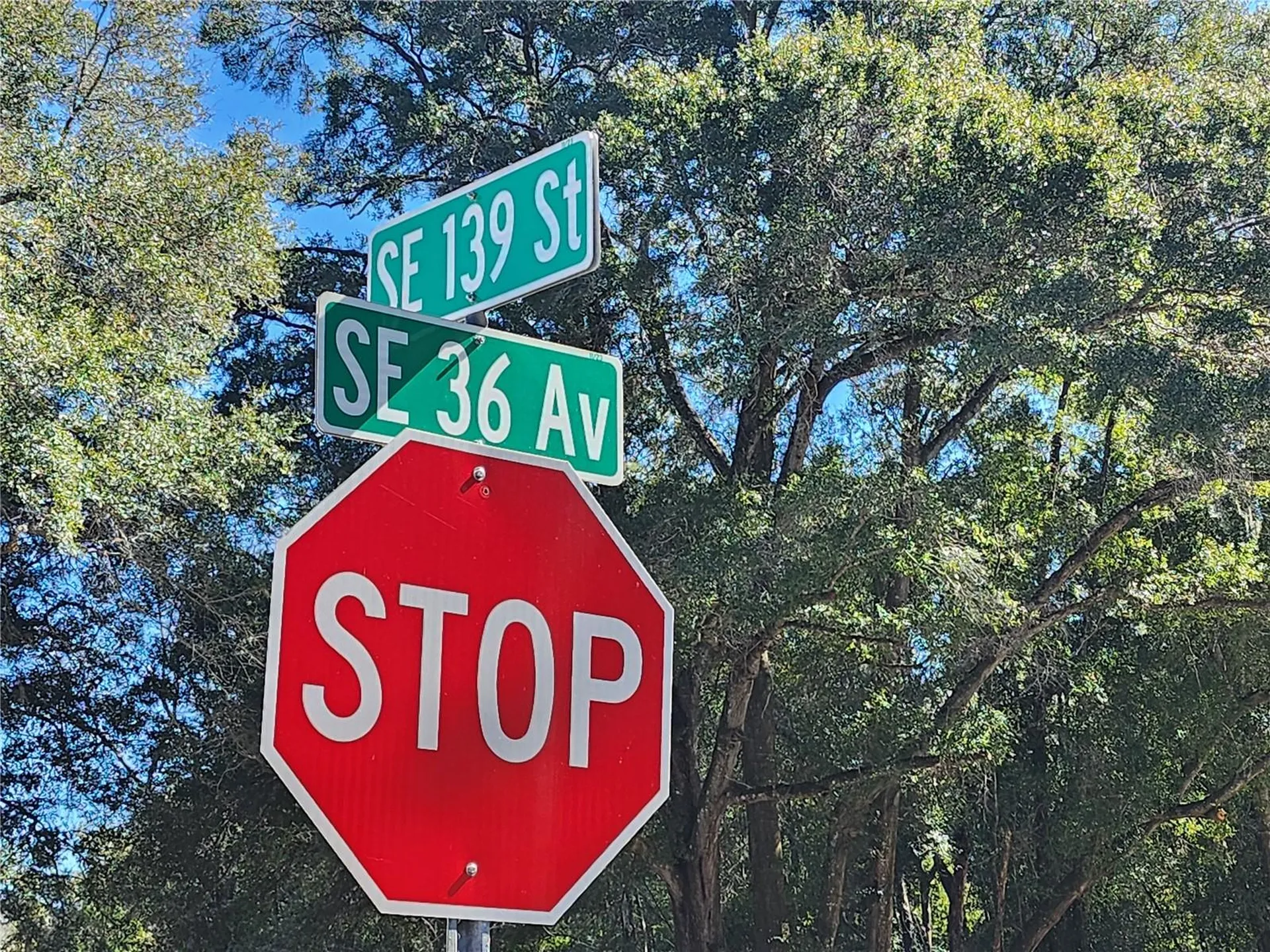 3591 SE 139th Street Summerfield FL 34491