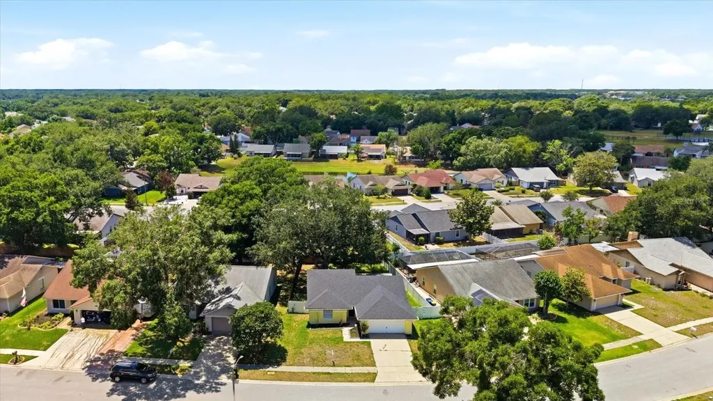 1537 Gunsmith Drive Lutz FL 33559
