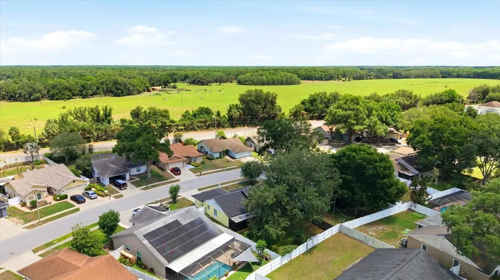 1537 Gunsmith Drive Lutz FL 33559