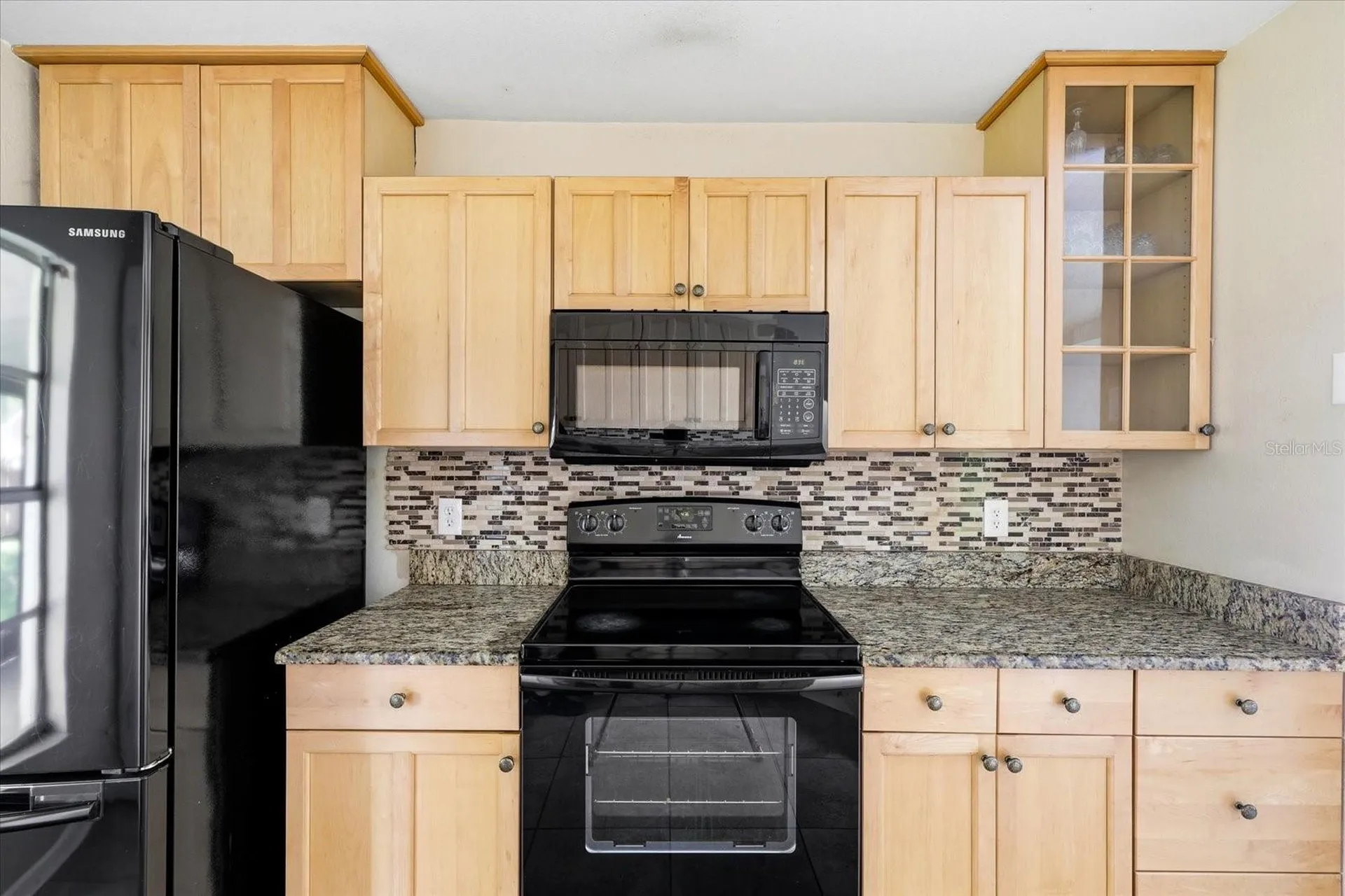 1537 Gunsmith Drive Lutz FL 33559