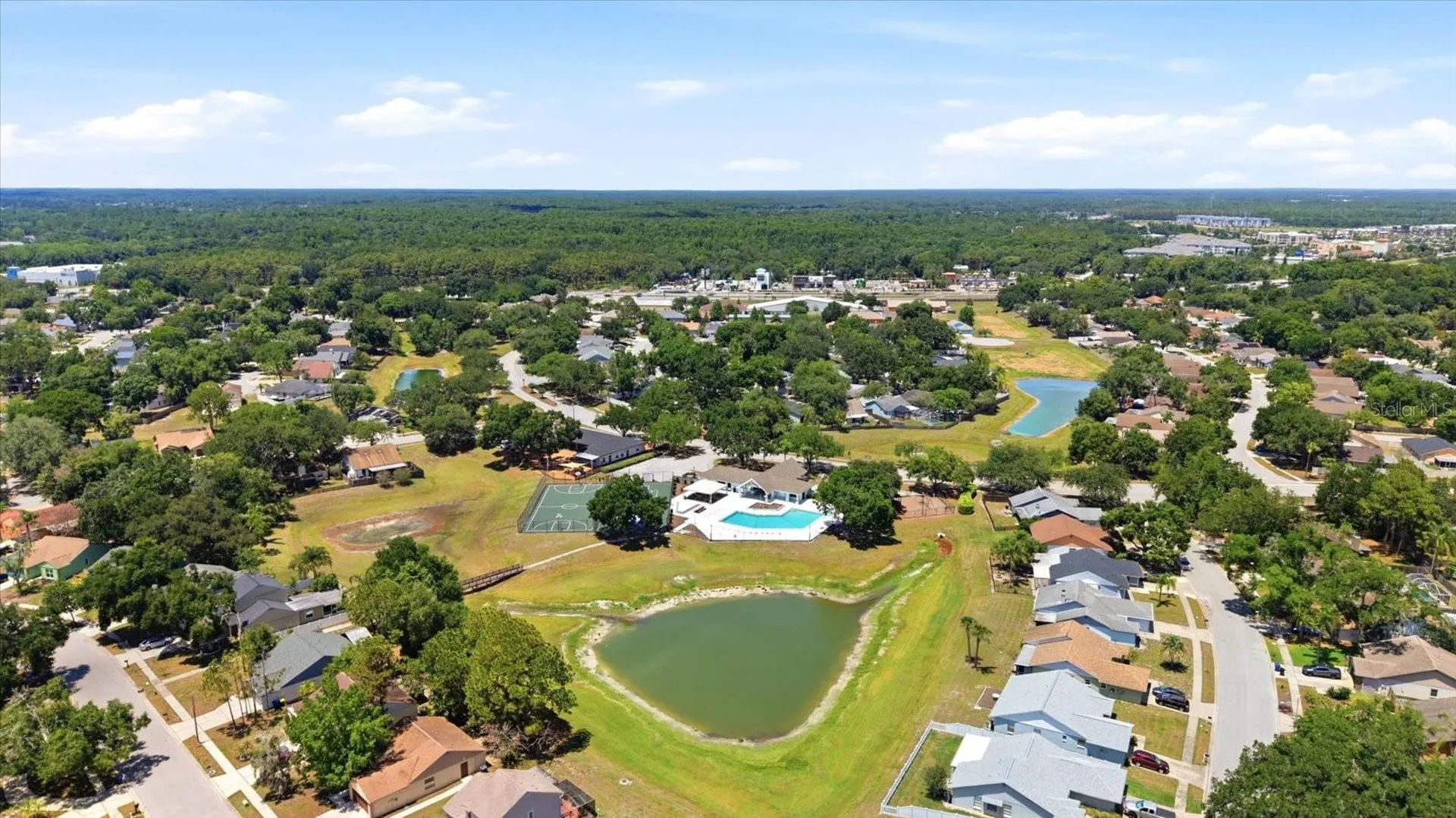 1537 Gunsmith Drive Lutz FL 33559