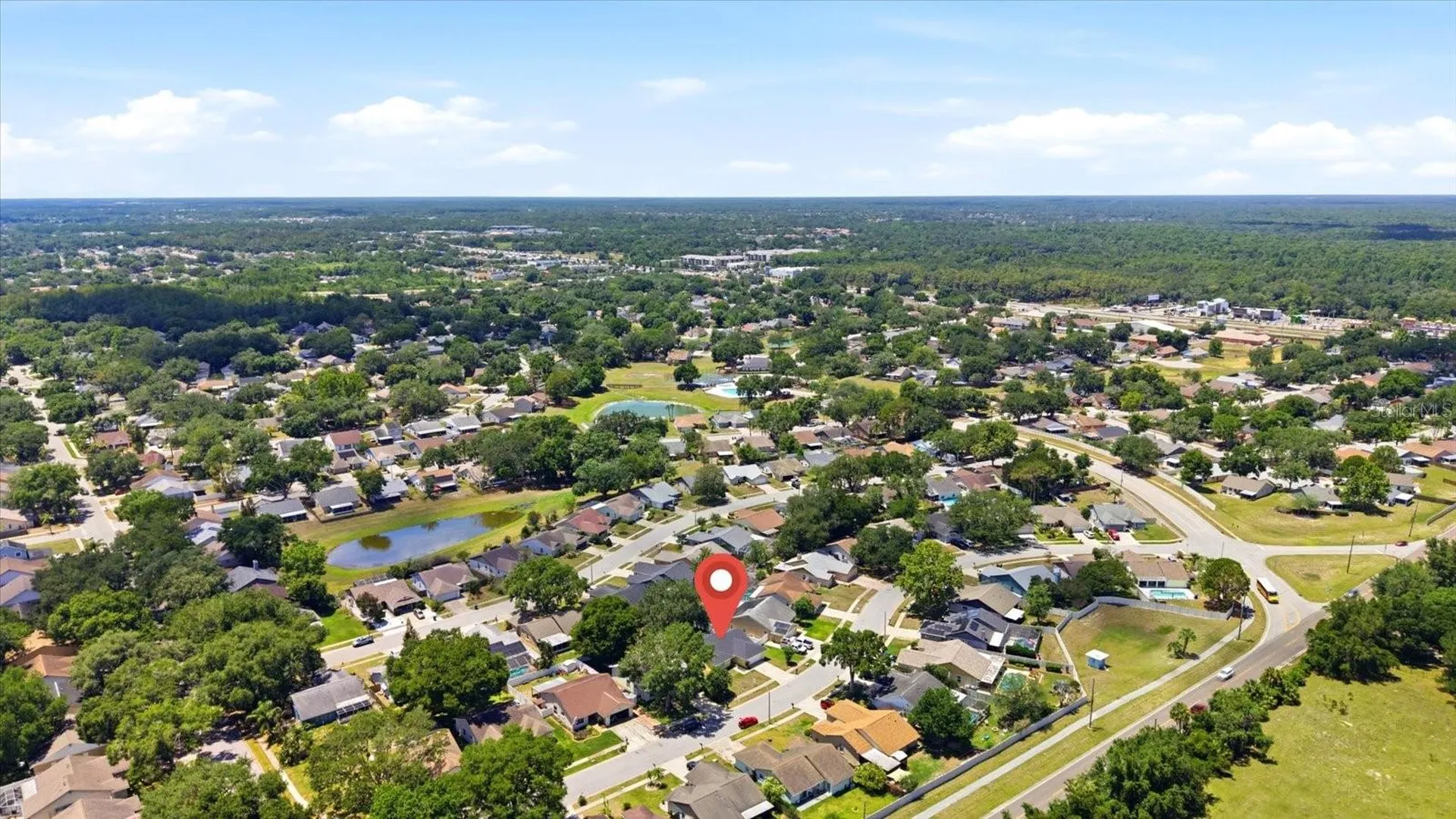 1537 Gunsmith Drive Lutz FL 33559