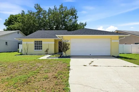 1537 Gunsmith Drive Lutz FL 33559