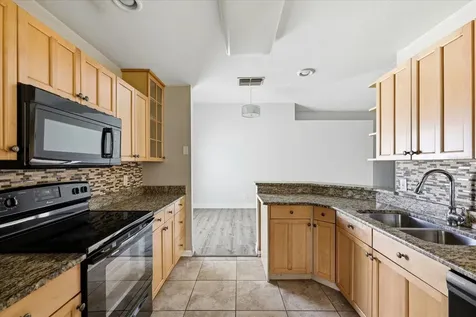 1537 Gunsmith Drive Lutz FL 33559