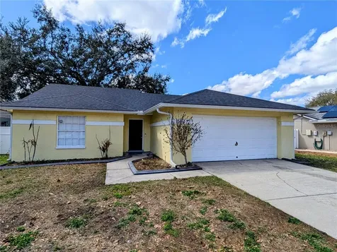 1537 Gunsmith Drive Lutz FL 33559