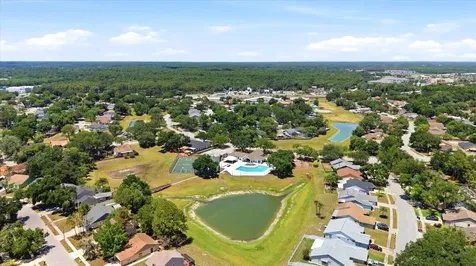 1537 Gunsmith Drive Lutz FL 33559
