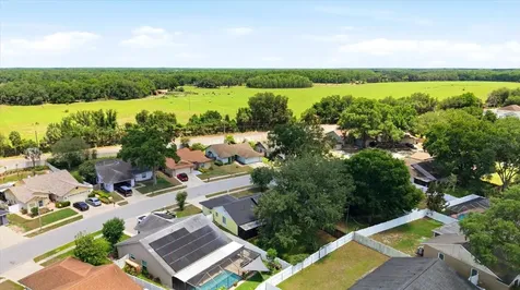 1537 Gunsmith Drive Lutz FL 33559