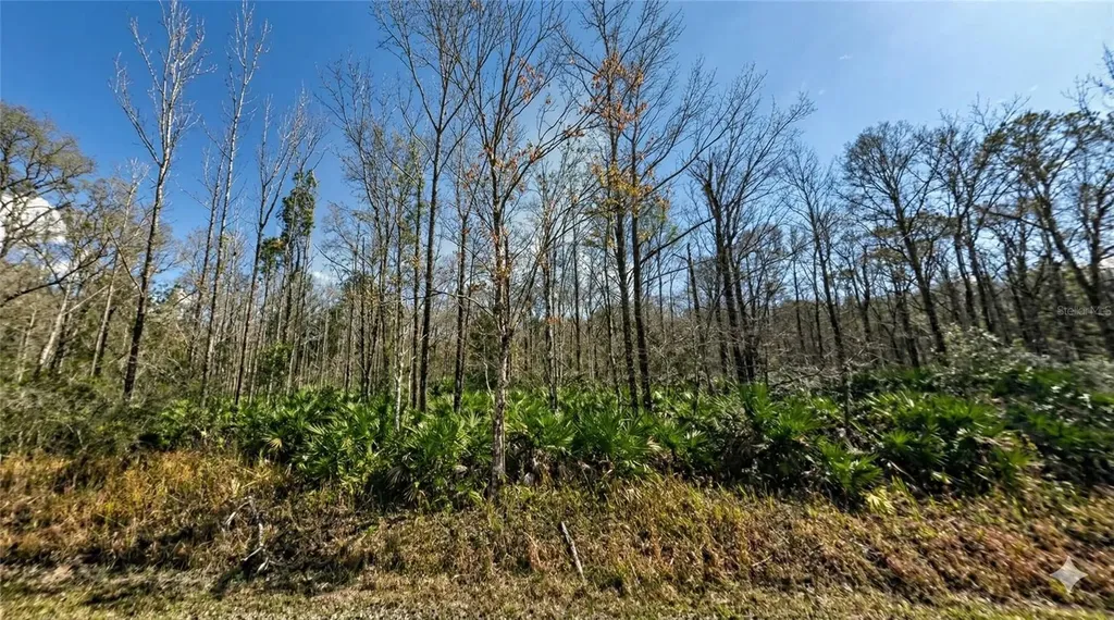 10660 Turpin Avenue Hastings FL 32145