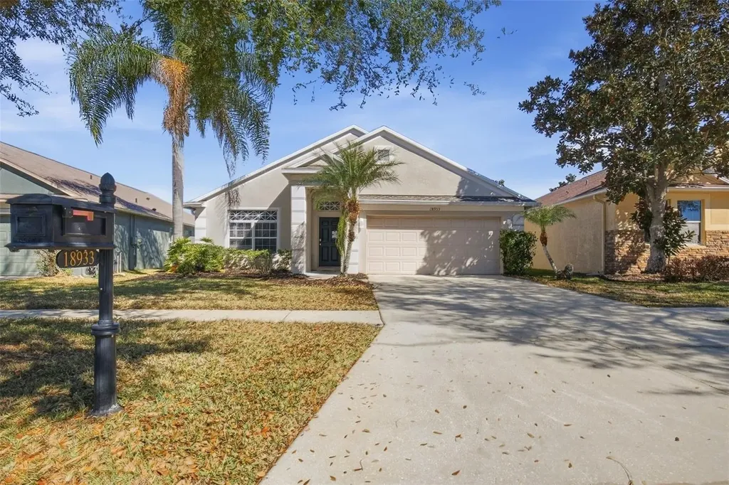 18933 New Passage Boulevard Land O Lakes FL 34638