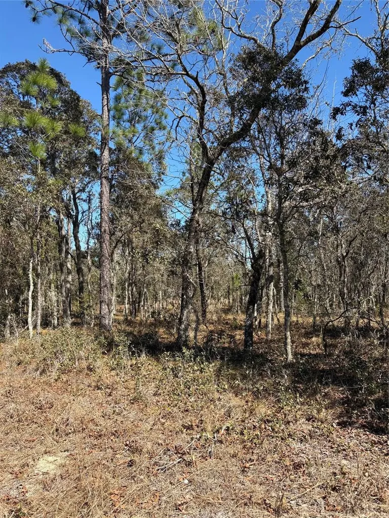 Tba SE 135th Court Dunnellon FL 34431