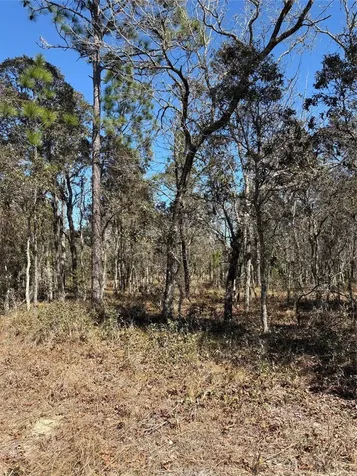 Tba SE 135th Court Dunnellon FL 34431
