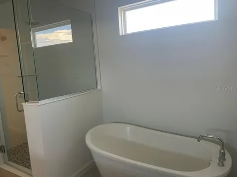 5374 Lake Virginia Street Winter Garden FL 34787