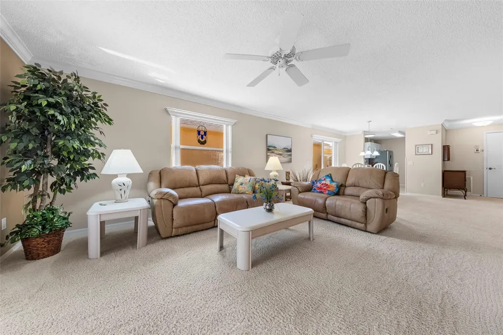 1137 Santa Cruz Drive The Villages FL 32162